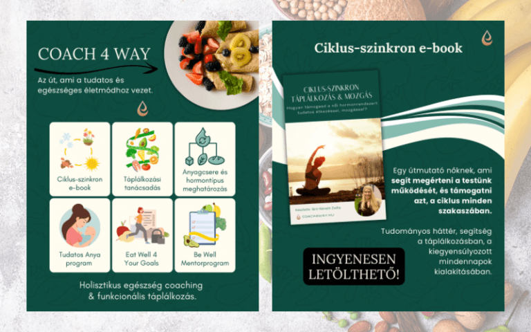 fokroV-vifpib-1venpe - 2